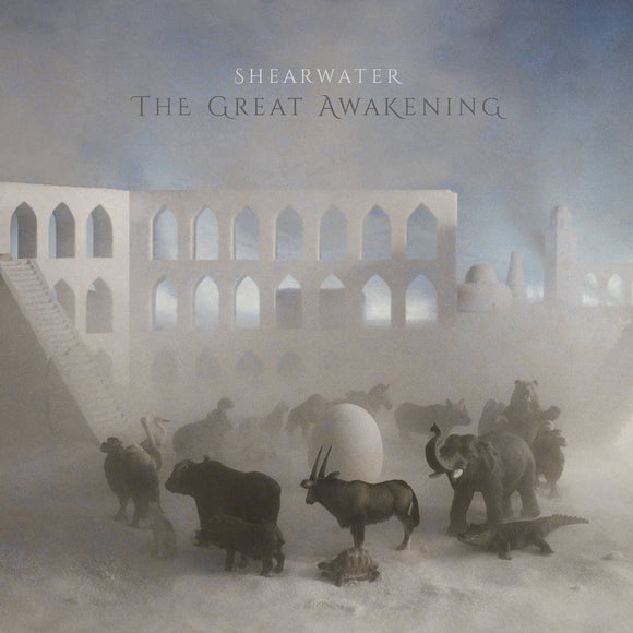 SHEARWATER – GREAT AWAKENING - CD •