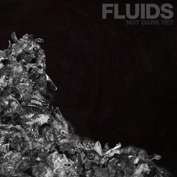 FLUIDS – NOT DARK YET - CD •
