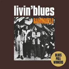 LIVIN BLUES – BAMBOOZLE (COLORED VINYL) (LIMITED) (180 GRAM) (WHITE) - LP •
