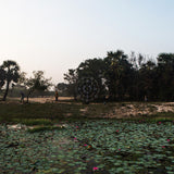 KORWAR,SARATHY – KALAK (DARK GREEN VINYL) (INDIE EXCLUSIVE) - LP •