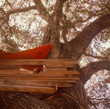 BACKSEAT LOVERS – WAITING TO SPILL - CD •