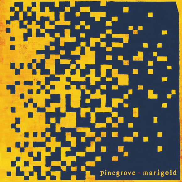 PINEGROVE – MARIGOLD (BLACK) - LP •