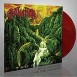 CARNATION – WHERE DEATH LIES (RED/WHITE/BLACK MARBLE) - LP •