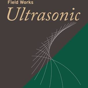 FIELD WORKS: ULTRASONIC / VARI – MAKING MUSIC WITH INDIANA BATS - LP •