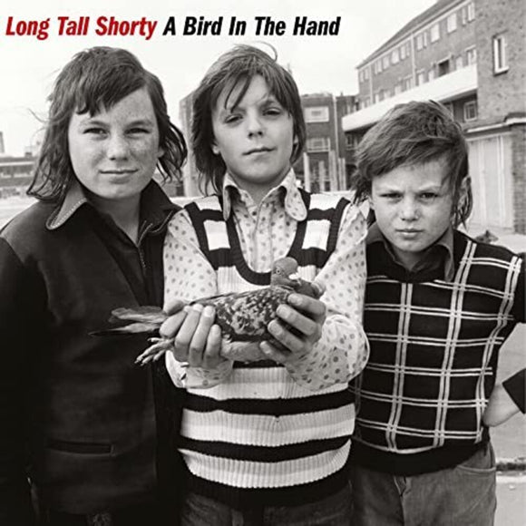 LONG TALL SHORTY – BIRD IN THE HAND (COLORED VINYL) (LIMITED) (RED) - LP •