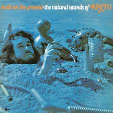 AIRTO <br/> <small>SEEDS ON THE GROUND: NATURAL SOUNDS OF AIRTO</small>
