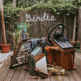 SLAUGHTER BEACH DOG – BIRDIE (OLIVE GREEN) - LP •