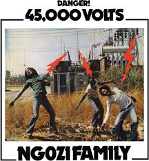 NGOZI FAMILY – 45,000 VOLTS - LP •