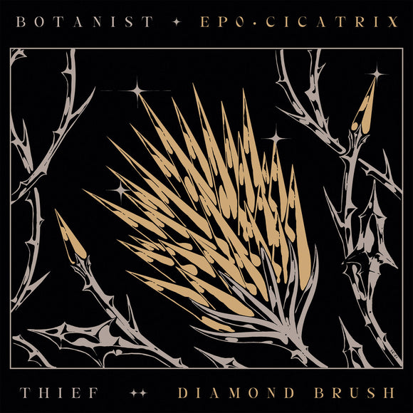 BOTANIST / THIEF – CICATRIX / DIAMOND BRUSH (DIGIPAK) - CD •