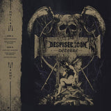 DESPISED ICON – DETERRE (GREY W/ BLACK SWIRL) (10 INCH) - LP •