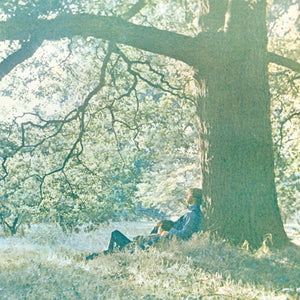 ONO,YOKO – PLASTIC ONO BAND - LP •