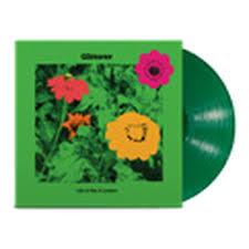 GLITTERER – LIFE IS NOT A LESSON (GREEN VNYL) - LP •