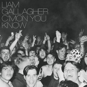 GALLAGHER,LIAM – C'MON YOU KNOW - LP •