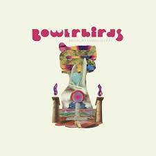 BOWERBIRDS – BECALMYOUNGLOVERS - CD •