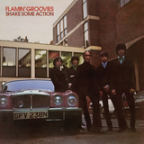 FLAMIN' GROOVIES – SHAKE SOME ACTION (GREEN VINYL) - LP •