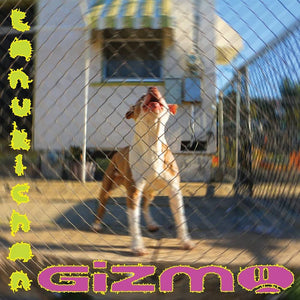 TANUKICHAN – GIZMO - LP •