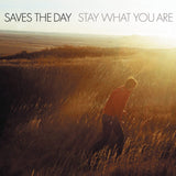 SAVES THE DAY – STAY WHAT YOU ARE (2 X 10IN) (BROWN) - LP •