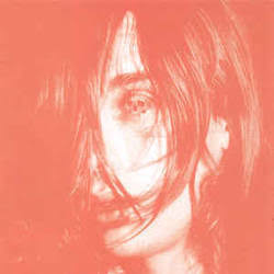 DEERHUNTER – MICROCASTLE - LP •