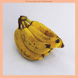 MCCAUGHAN,MAC – SOUND OF YOURSELF [Indie Exclusive Limited Edition PINK/ORANGE SWIRL LP] - LP •