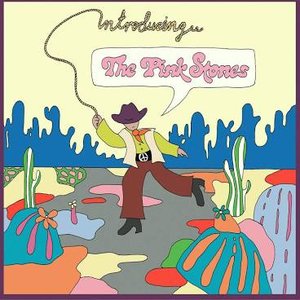 PINK STONES – INTRODUCING...THE PINK STONES - CD •