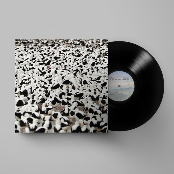 DONNELLY,STELLA – FLOOD (BLACK) - LP •