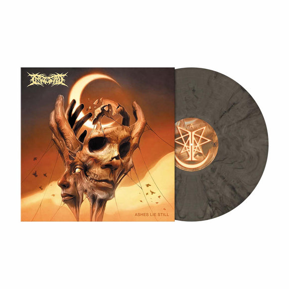 INGESTED – ASHES LIE STILL (CLEAR BLACK SMOKE) - LP •