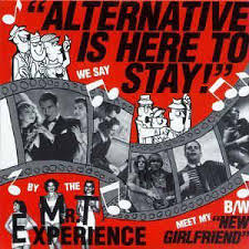 MR. T EXPERIENCE – ALTERNATIVE IS HERE TO STAY - 7" •