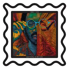 TORO Y MOI <br/> <small>ANYTHING IN RETURN</small>