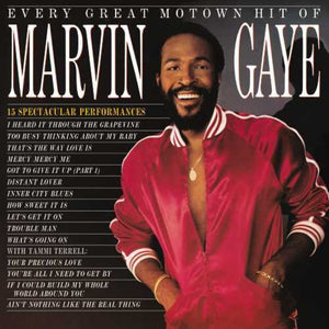 GAYE,MARVIN – EVERY GREAT MOTOWN HIT OF MARVIN GAYE - LP •